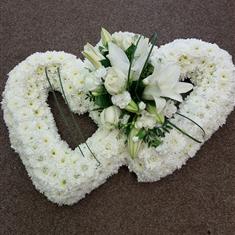 Double massed heart
