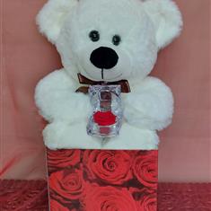 Teddy bear and preserved rose