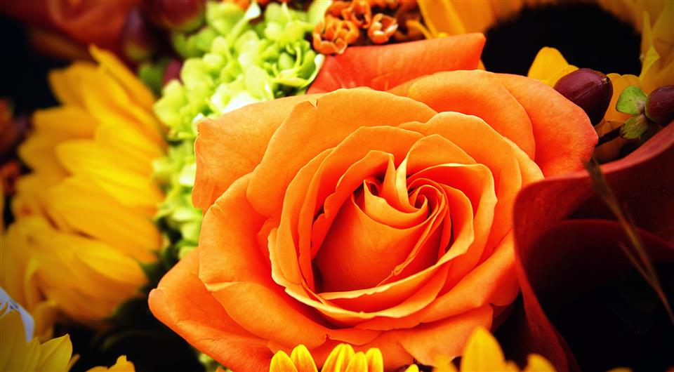 Jan's Floral Boutique