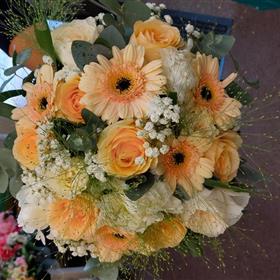 fwthumb20230721_133011.jpg