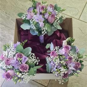 fwthumbIMG-20241013-WA0007.jpg